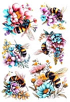 ������� ����� �� ������ / ��������