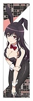    Saekano - Utaha Bunny Ver.