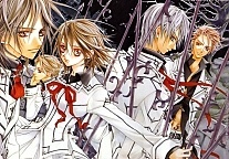     Vampire Knight