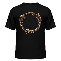  The Elder Scrolls Online