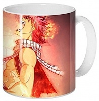  Fairy Tail 306700