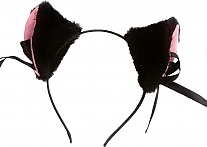         "Cat Collection"