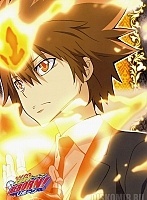   Katekyo Hitman Reborn! Tsunayoshi Sawada