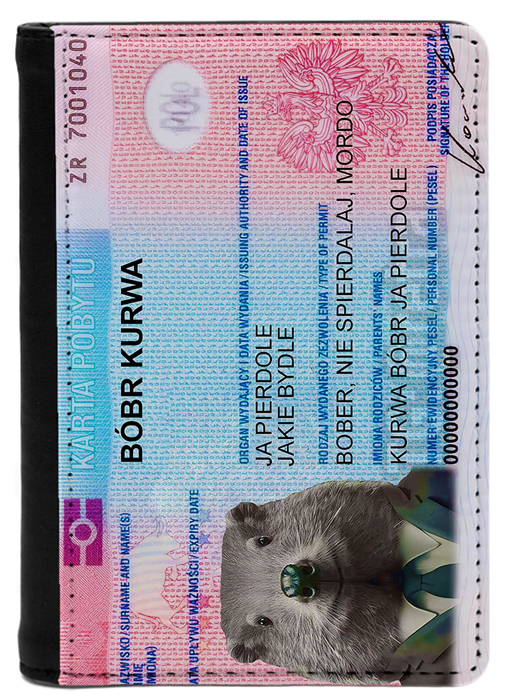 ������� �� ������� Bobr Kurwa / ���� �����