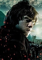 ������ �������� �� ������ Harry Potter