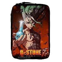   Dr. Stone