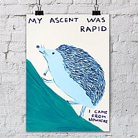 ������ ��� ��������� My Ascent was Rapid / ������ �� �����
