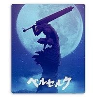     Berserk The Black Swordsman art