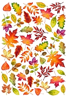 ������� ������� ������