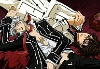 ������ �������� � ����� Vampire Knight