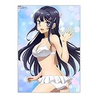 ������ �������� Seishun Buta Yarou wa Bunny Girl Senpai no Yume wo Minai