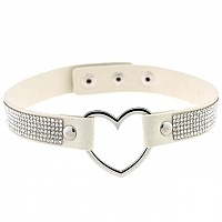 ����� ������� ������� ������ � �����������