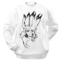  "Dr. Stone" Ishigami Senkuu