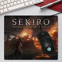 ������ ��� ����� ������������� Sekiro: Shadows Die Twice Fire Fight