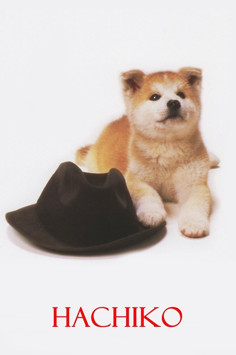 ���������� ������� ������� ������ / Hachi-ko �� ����� � ����� 