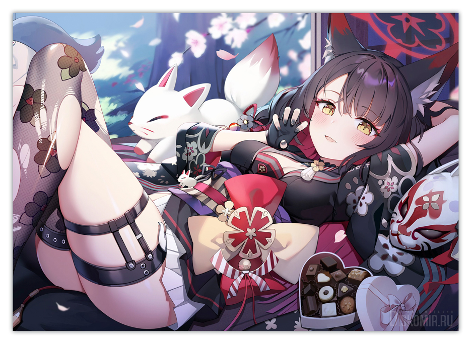 ������ �������� ����� ����� / ������ ������ ��������������