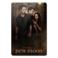 ������ ��������� ������������� Twilight 351887