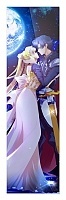    Sailor Moon