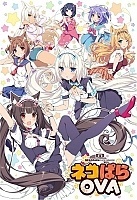    / Nekopara OVA [DVD]