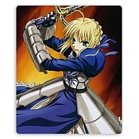    Fate/stay night 25771