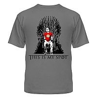 �������� The Big Bang Theory - My Spot