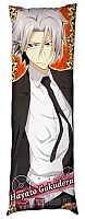   Katekyo Hitman Reborn! Hayato Gokudera  