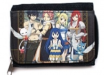   Fairy Tail 41062