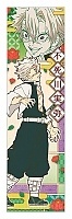    Demon Slayer: Kimetsu no Yaiba - Sanemi Shinazugawa