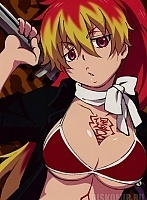   Ao no Exorcist Shura Kirigakure