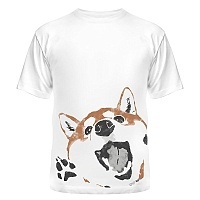  Shiba Inu