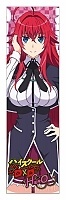  High School DxD Hero Rias Gremory