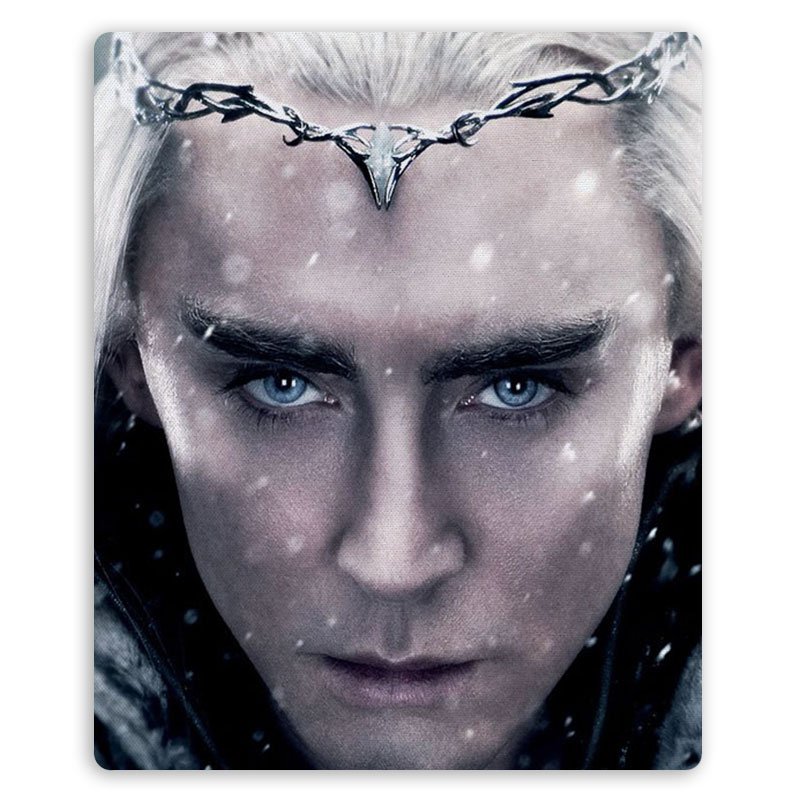 ���������� ������� ������ ��� ����� The Hobbit 310015 �� ����� � ����� ������ / The Hobbit
