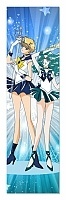    Bishoujo Senshi Sailor Moon /  