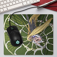 ������ ��� ����� Chobits 47754