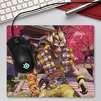 ������ ��� ����� ������������� Overwatch - ���������