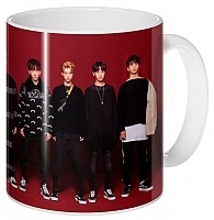 ������ ���-���� Stray Kids