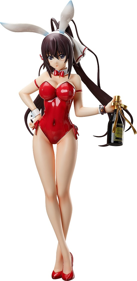 ���������� ������� ������� Infinite Stratos: Houki Shinonono Bare Leg Bunny Ver. �� ����� � ����� ����������� ������ / Infinite Stratos / IS Infinite Stratos