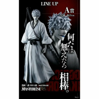 ������� Bleach  20th anniversary Hichigo