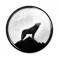  Teen Wolf Moon and Wolf