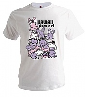 ����� �������� Kawaii Desu Ne!