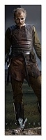  Vikings Floki