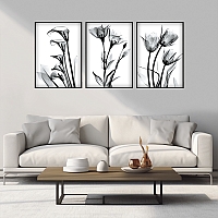 ����� �������� ��� ��������� - X-Ray Flowers