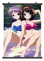   Suzumiya Haruhi no Yuuutsu 317531