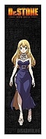  Dr. Stone Ruri