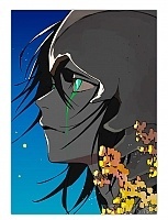    - Ulquiorra Cifer