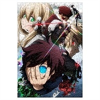 ���� Kekkai Sensen (������ A3, 252 ������) 350041