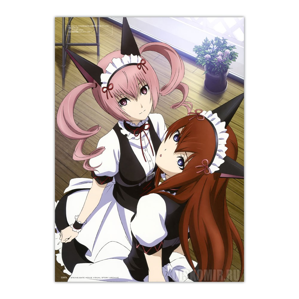 ������ �������� Steins Gate - Kurisu Makise, Rumiho Akiha