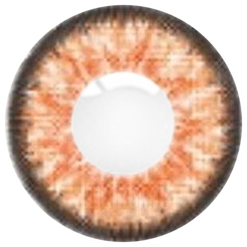 ���������� ������� ����� ������� ���������� ��� ���� "Colors Eye Free Carnival" AR Hazel �� ����� � ����� 