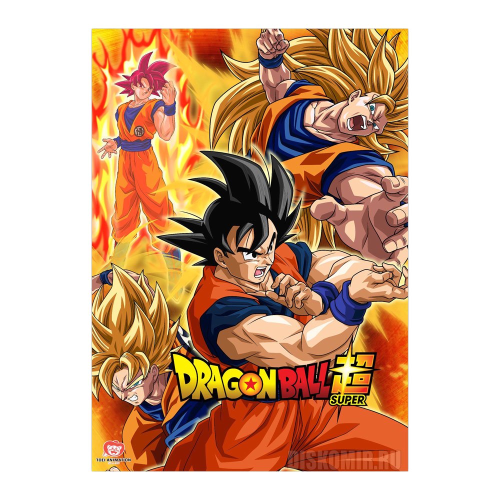 ������ �������� "�������� ������: �����" ��� ����