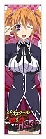  High School DxD Hero Shido Irina